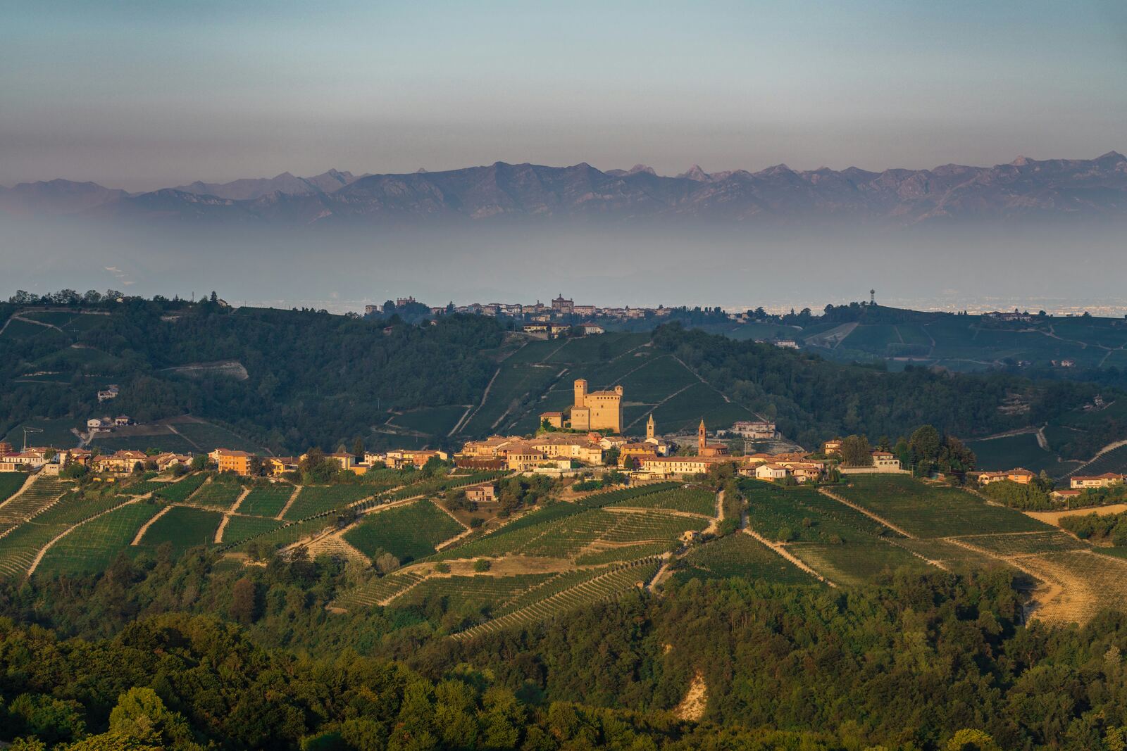 The Langhe countryside around Barolo